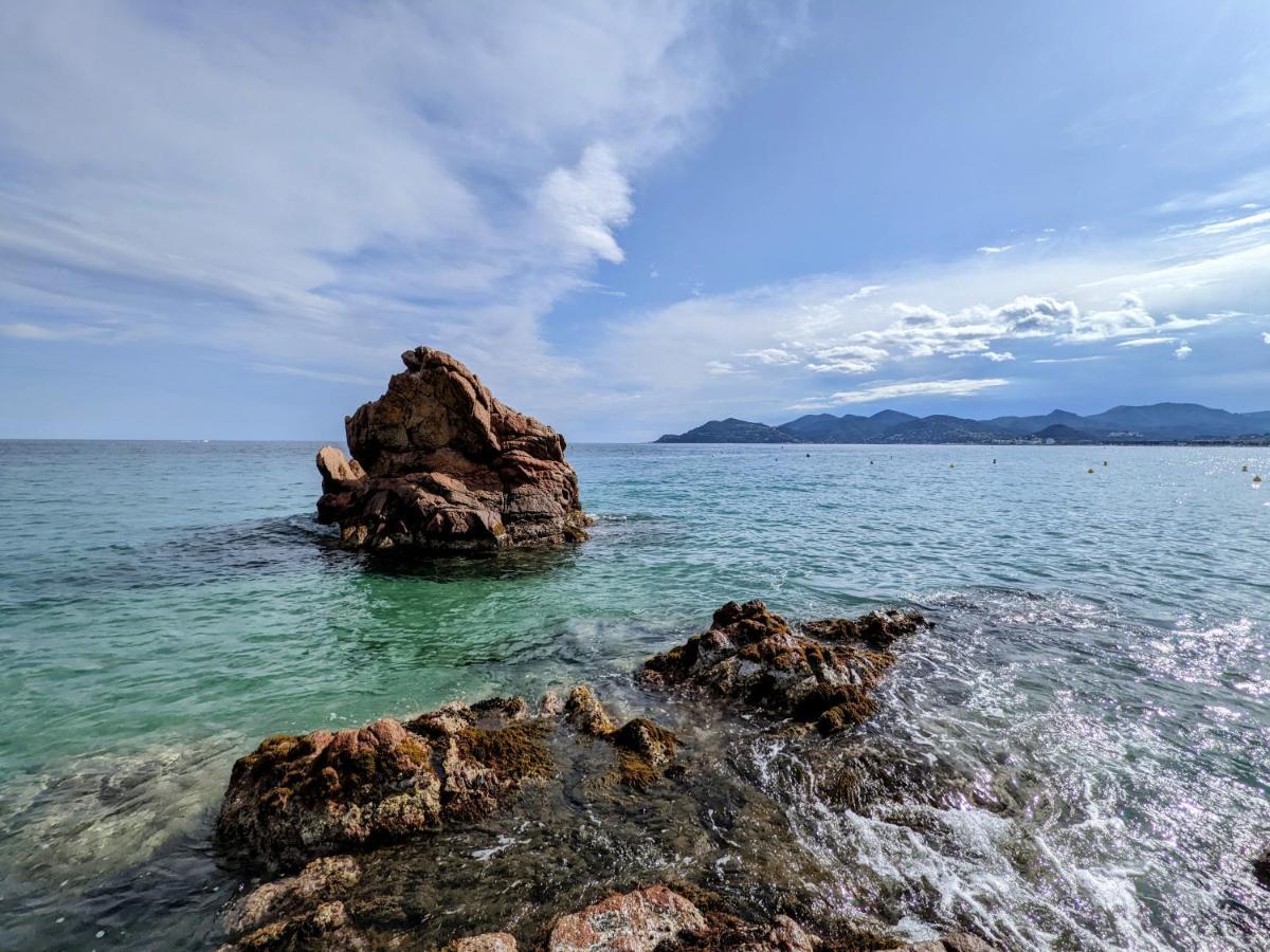 Cannes Cosy Holiday Home Dış mekan fotoğraf